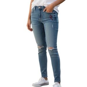 Gilded Intent 27x29 Distressed Mid Rise Skinny Embroidered Jeans Cactus Desert